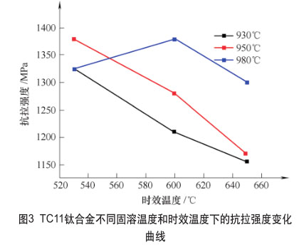 t3.jpg