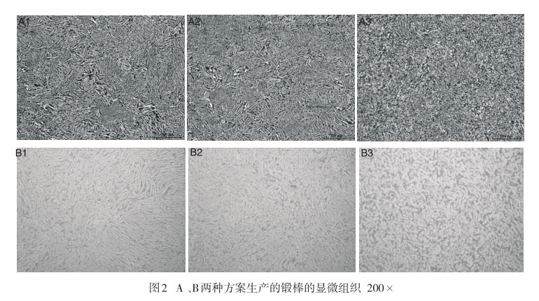 A 、B兩種方案生產(chǎn)的鍛棒的顯微組織