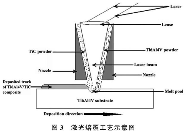 t3.jpg